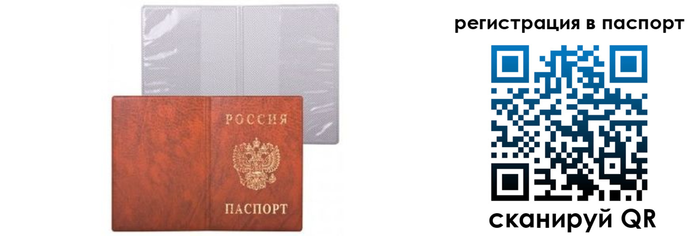 прописка ребенка в Северске
